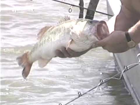 CATCHING BIG BASS