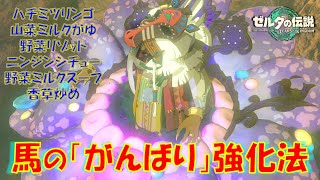 【ゼルダの伝説ティアキン】馬の「がんばり」強化用の料理！「ハチミツリンゴ」「山菜ミルクがゆ」「野菜リゾット」「ニンジンシチュー」「野菜ミルクスープ」「香草炒め」の作り方