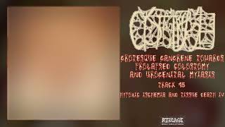Cystgurgle - Grotesque Gangrene Towards Prolapsed Colostomy... FULL ALBUM (2018-Goregrind/Gorenoise)
