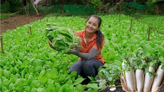 Harvest Vegetables and Radish Go To Market Sell - Gardening & Cooking | Building New Life