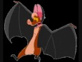 The Batty Rap Batty Koda