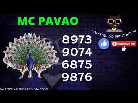 PALPITES JOGO DO BICHO 19/NOV/2022