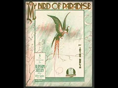 Peerless Quartet - My Bird Of Paradise 1915 Irving Berlin Songs (Henry Burr)