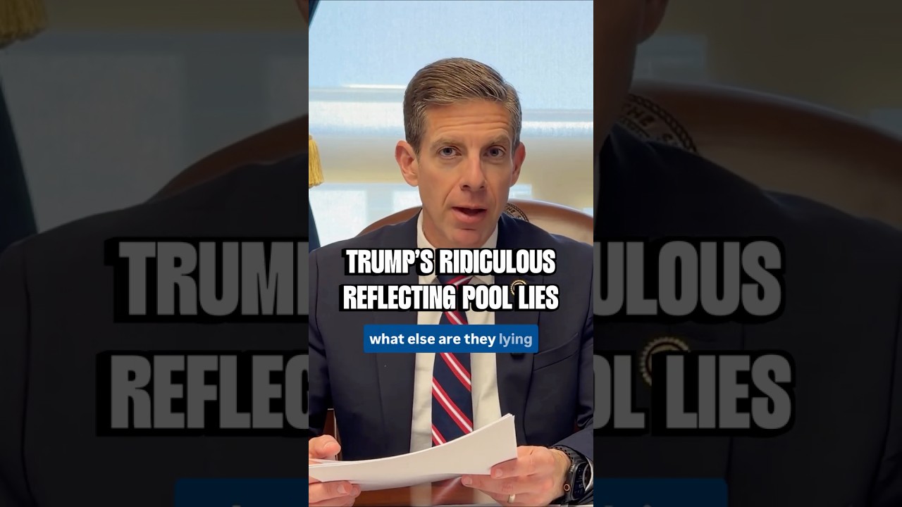 Video: Rep. Levin blames Trump for Reflecting Pool 'poor workmanship'