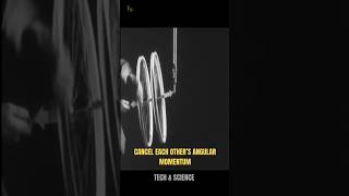 Angular Momentum Explained with a Simple Experiment #angularmomentum #physics