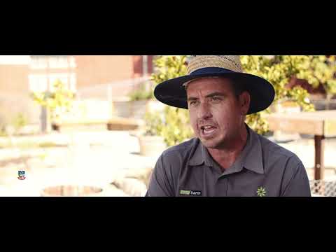 2019 GGAA Finalist: Creating Impact – The University of Adelaide