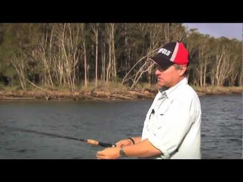 Rapala Shad Rap 9cm 15g ROL