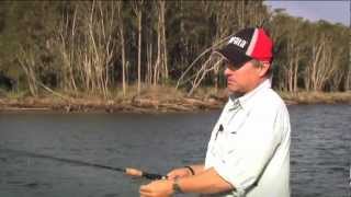 Rapala Shad Rap 08 HSP