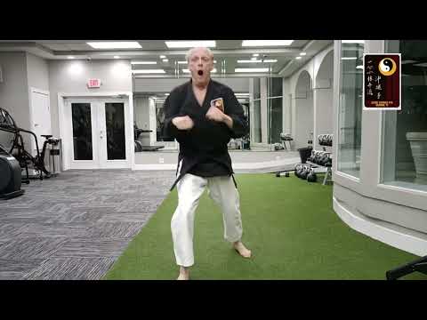 Speed Combinations: Double punch high, double punch low  – Sensei Rod Lindgren