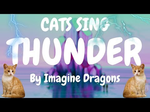 Cats Sing Thunder by Imagine Dragons | Cats Singing Song