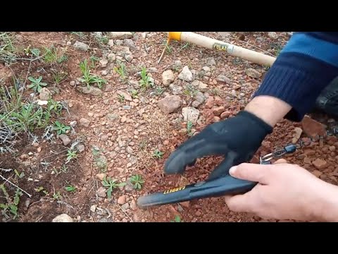 Defineci Tektekçi Bulmaya Devam Ediyor !!!