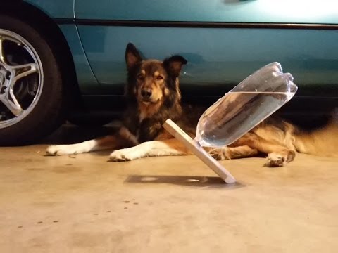 download lagu mp3 mp4 2l Bottle Dimensions, download lagu 2l Bottle Dimensions gratis, unduh video klip 2l Bottle Dimensions