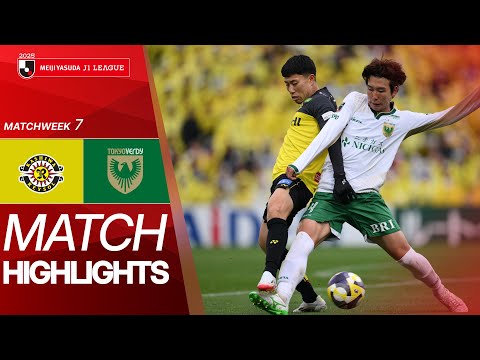 bg-highlight