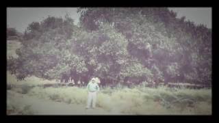 Temple video