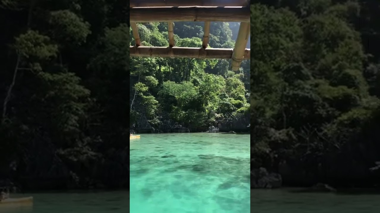 YouTube Short thumbnail