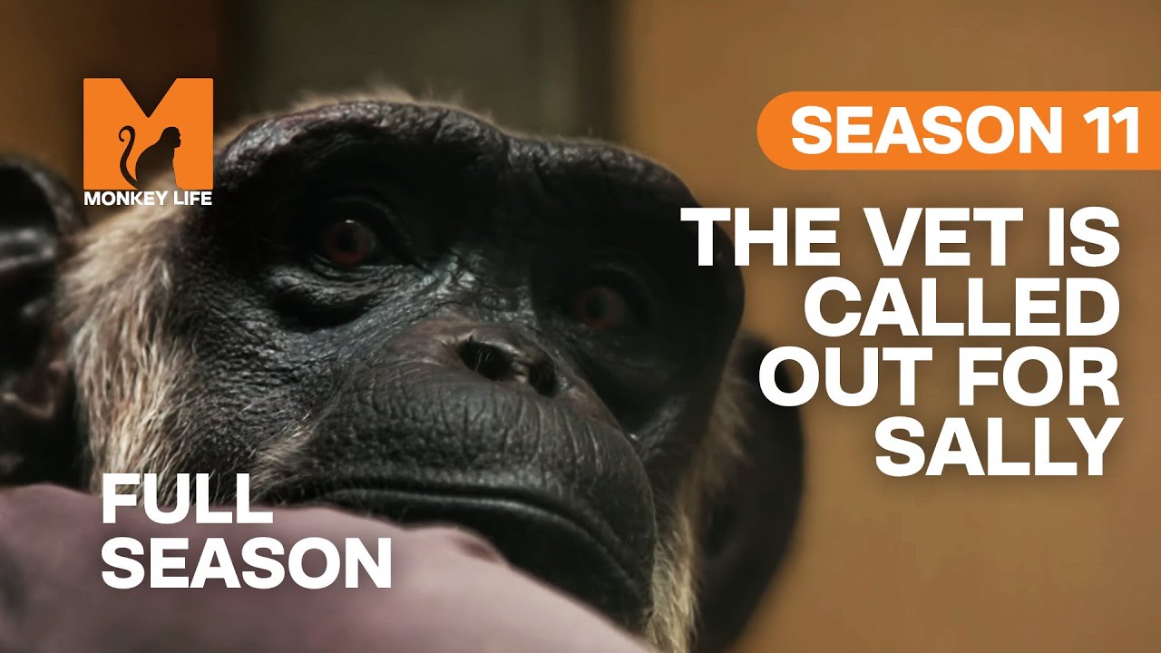 Turtle Back Zoo Opens Wellness Center Highlighting Veterinary Transparency