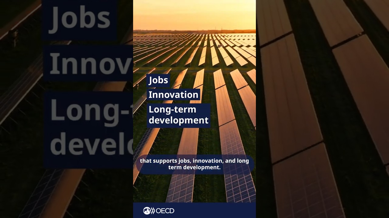 50 years of the OECD Declaration: shaping global investment and responsible business conduct