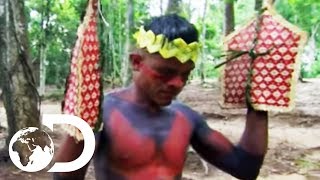The Sateré-Mawé Tribe Subject Themselves To Over 120 Bullet Ant Stings | Wildest Latin America