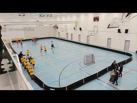 P11 kilpasarja 15.00 Josba punainen - Welhot Wings