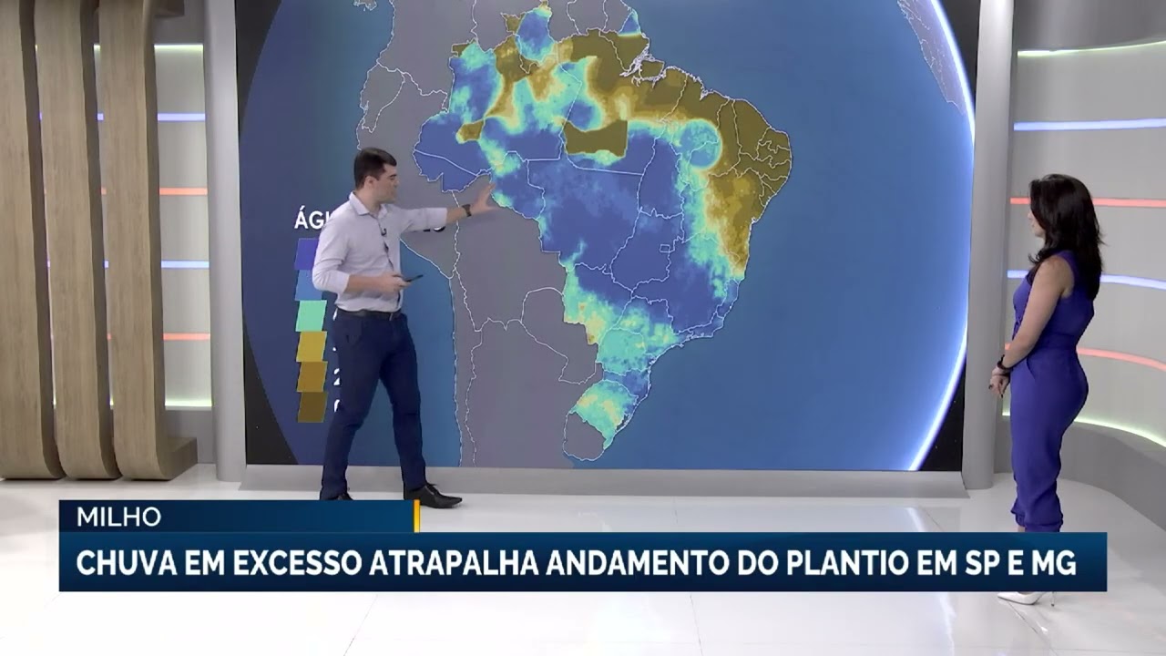 Milho: Chuva em excesso atrapalha andamento do plantio em São Paulo e Minas Gerais