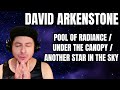 FIRST TIME HEARING David Arkenstone- "Pool Of Radiance"/"Under The Canopy"/"Another Star In The Sky"