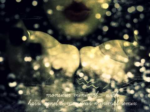 Monsieur Minimal - Wish (Harri Agnel & Monsieur Minimal Remix)