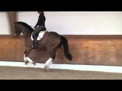 Wallach von Quasar de Charry, geb. 2012