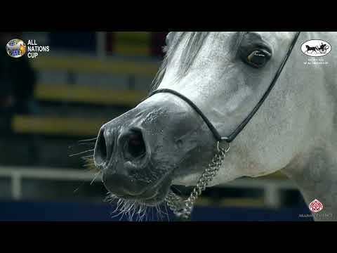 Aachen 2022 38° All Nations Cup   Class 7A