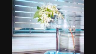 Jandek - I Like You Too