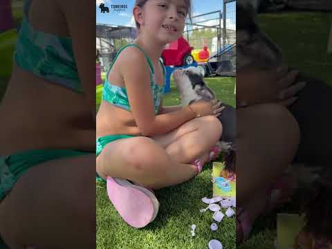 Video 2