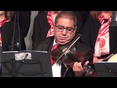 06 Rast Taksim Keman Mehmet Çamlı