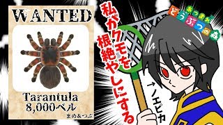 【あつ森】私がクモを根絶やしにする・・・！【ランゲルハンス島】