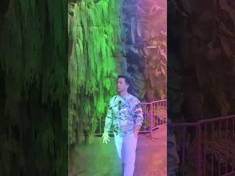 fred again..x the streets x dermot kennedy - mike (cloud forest, gardens by the bay, singapore)