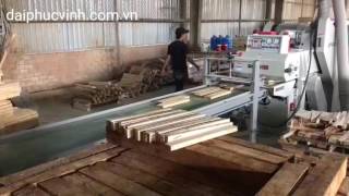 BĂNG TẢI NẠP PHÔI RẤT HIỆU QUẢ. CONVEYOR BELT FOR DOUBLE SIDED PLANER