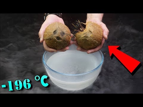 Can a coconut crack if I put in liquid nitrogen? Video