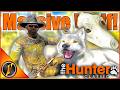 HUGE Wolf Hiding In Plain Sight On Timbergold Trails TheHunter Classic