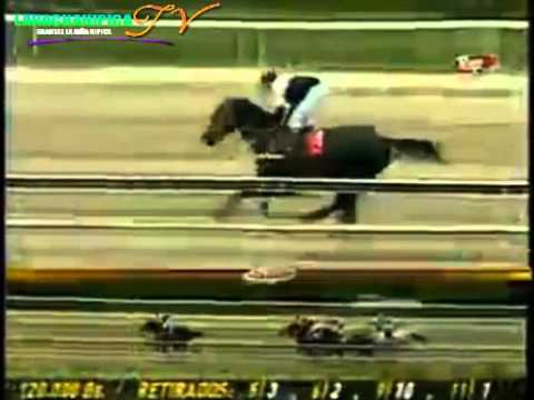 LA RINCONADA 5 CARRERA DOMINGO 22 DE JUNIO DL 2014 CLASICO DIA DEL EJERCITO