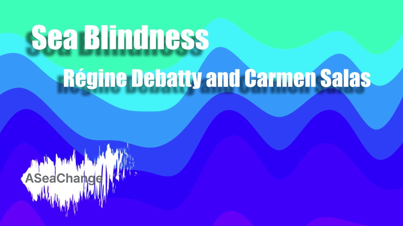 a sea change video poster