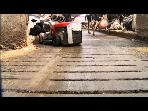 Lely Discovery Barn cleaner