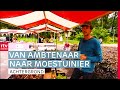 Vergeten groenten: 'Mensen kijken er eerst toch een beetje raar naar' | Nostalgie | RTV Drenthe