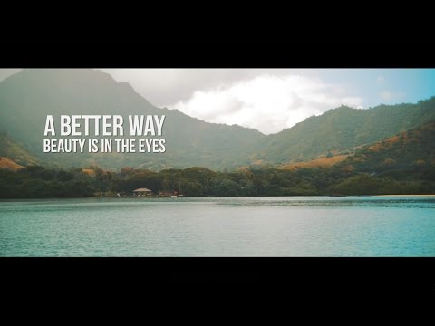 A Better Way From Fired To Freedom