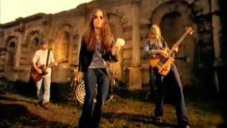 Cathedral - Stained Glass Horizon