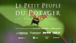 L'envol maladroit de la coccinelle - Extrait Le Petit Peuple du Potager