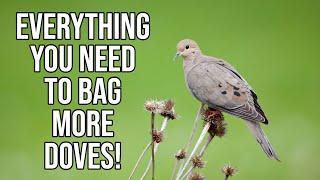 Beginners Guide To Hunting Doves