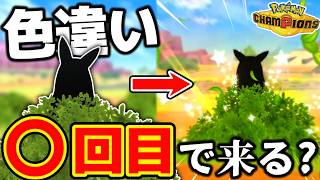 【地獄】チャンピオンズで色違い厳選をしてみたら〇〇〇回目で来るのか？【ポケモンチャンピオンズ】【検証】