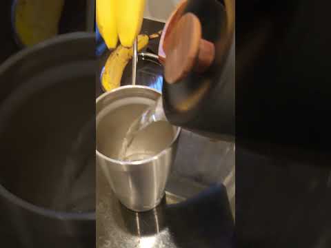 Fellow EKG Pro Studio