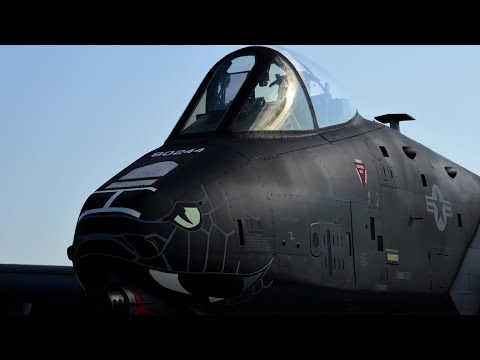 The Amazing New Fantastic Color of A-10 Warthog - Blacksnake Paint