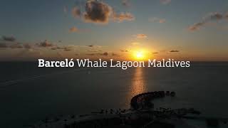 Barceló Whale Lagoon Maldives Barceló Whale Lagoon Maldives