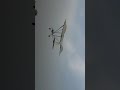 Rc Airplane Flying