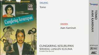 Download lagu [Full] Wayang Purwa - Cungkring Kesurupan | Tomo - Aam Kaminah | Langen Kusuma mp3